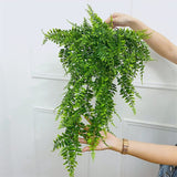 Fernsation: Enchanting Persian Fern Vines - Infuse Your Space with Evergreen Delight!