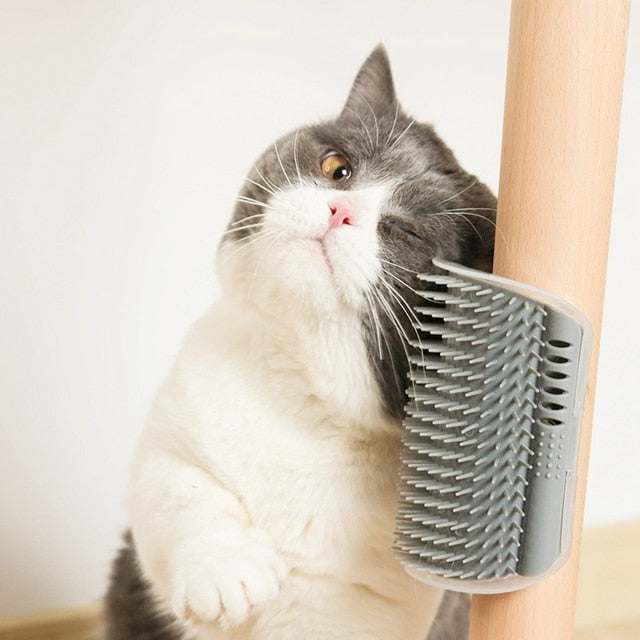 PurrfectGroom: The Pet Pampering Corner Spa - Hair Removal, Beauty, and Cleanliness in One!