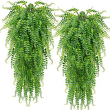 Fernsation: Enchanting Persian Fern Vines - Infuse Your Space with Evergreen Delight!